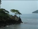 Limbe shore